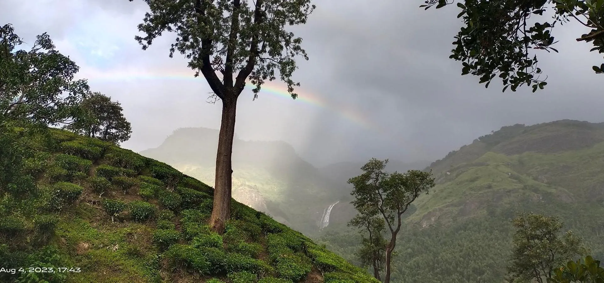 Séjour chez l'habitant Munnar Home Stay